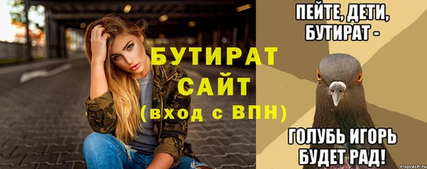 твердый Инсар