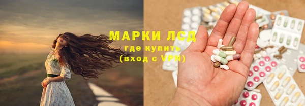 эйфоретик Инта