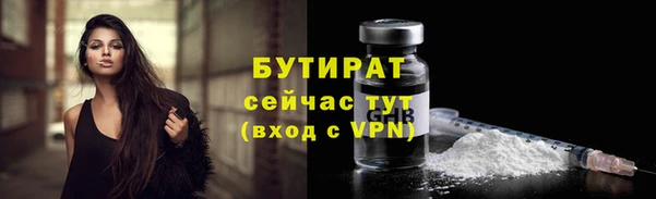 твердый Инсар