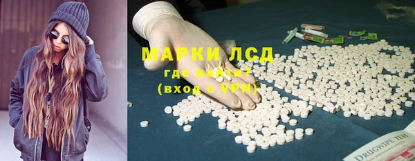 твердый Инсар