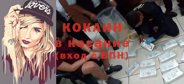 твердый Инсар