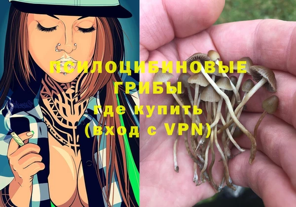 твердый Инсар