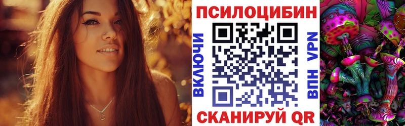 Купить где  Саров  Галлюциногенные грибы мицелий 
